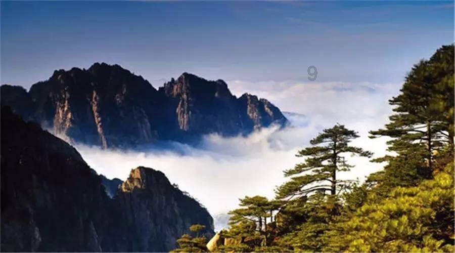 广西的特产介绍（100字左右）