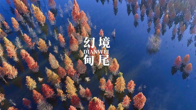 火柴人生存挑战