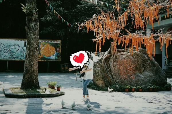 办结婚证，会不会查到名下有房子？游戏画面