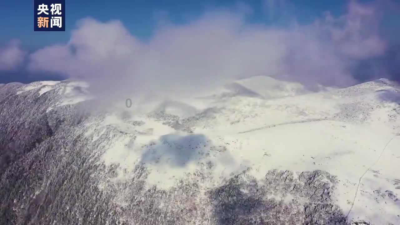创作猫