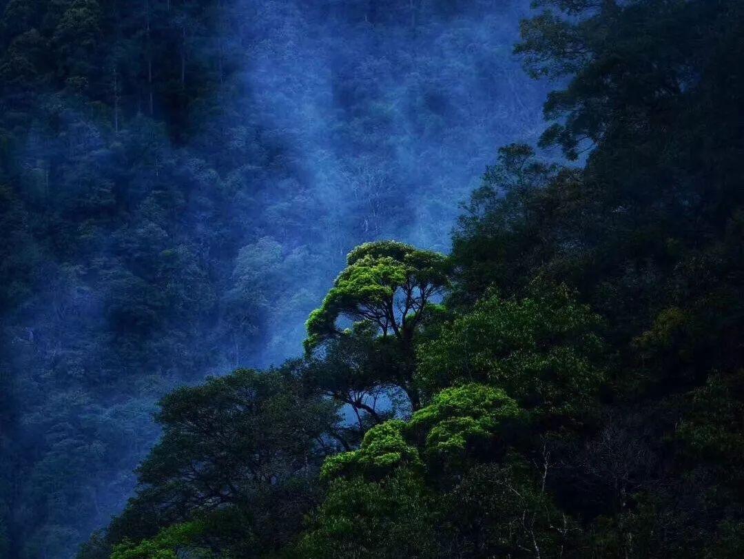 懒羊羊的奇幻世界