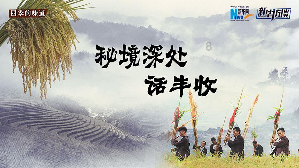 虫虫助手下载