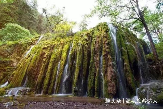 荒野大镖客救赎2
