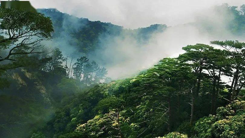 小猫钓鱼正版下载中文版