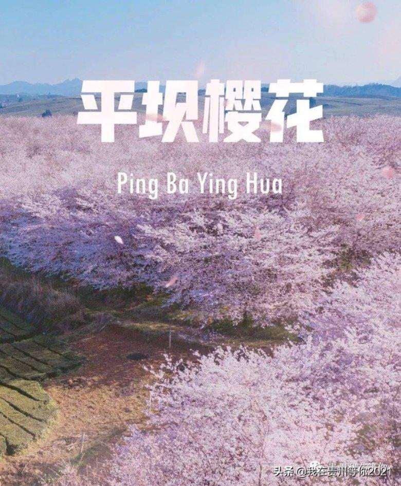 罗马队2-1维罗纳,新主帅德罗西率队立即止败