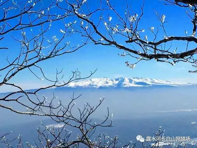 官宣!杭州迈入“2万亿俱乐部”