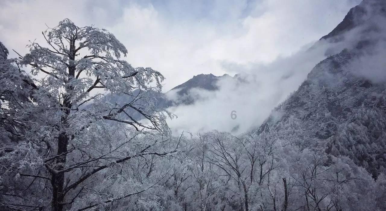 09年朗逸后仓是怎样防水的?游戏画面