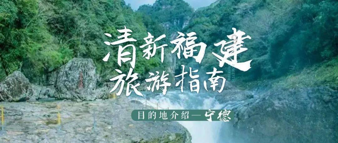 僵尸女友爱爬树
