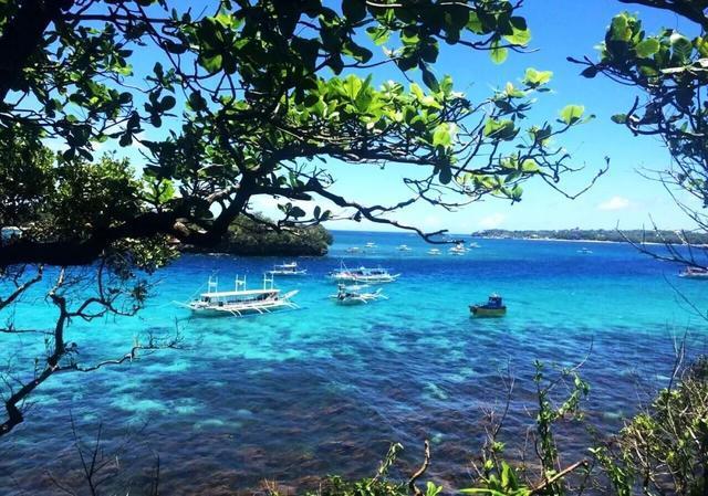 黄海湿地万物生，探路书写生态文明答卷的“盐城范例”