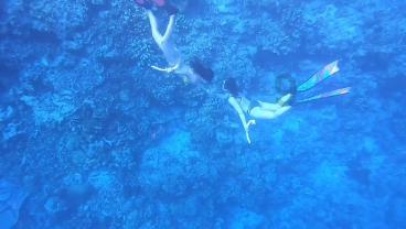 我们看了繁体字才能懂,武则天和狄仁杰早就知道:施恩送给武松烧鹅是啥意思?