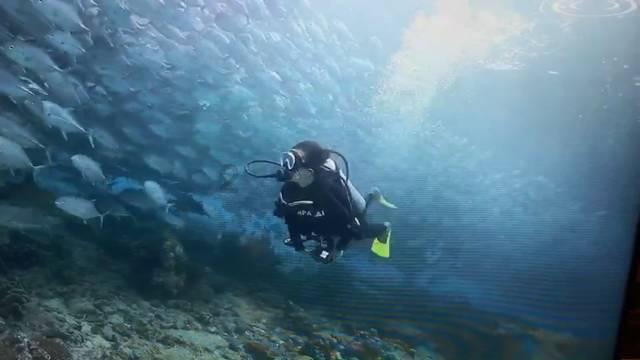 萌新水果连连看
