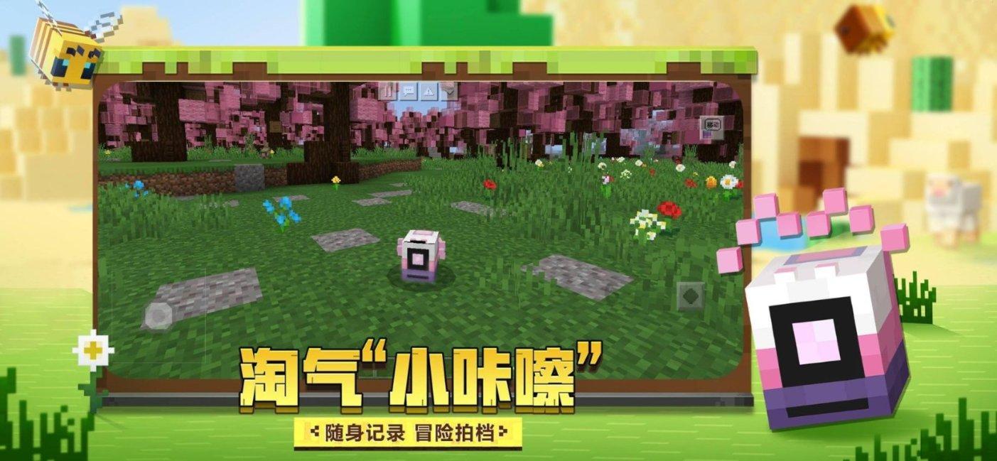 我省2024年普通专升本免试招生3月4日起报名