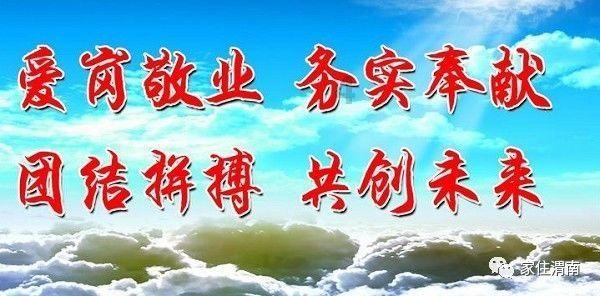 植物大战僵尸8