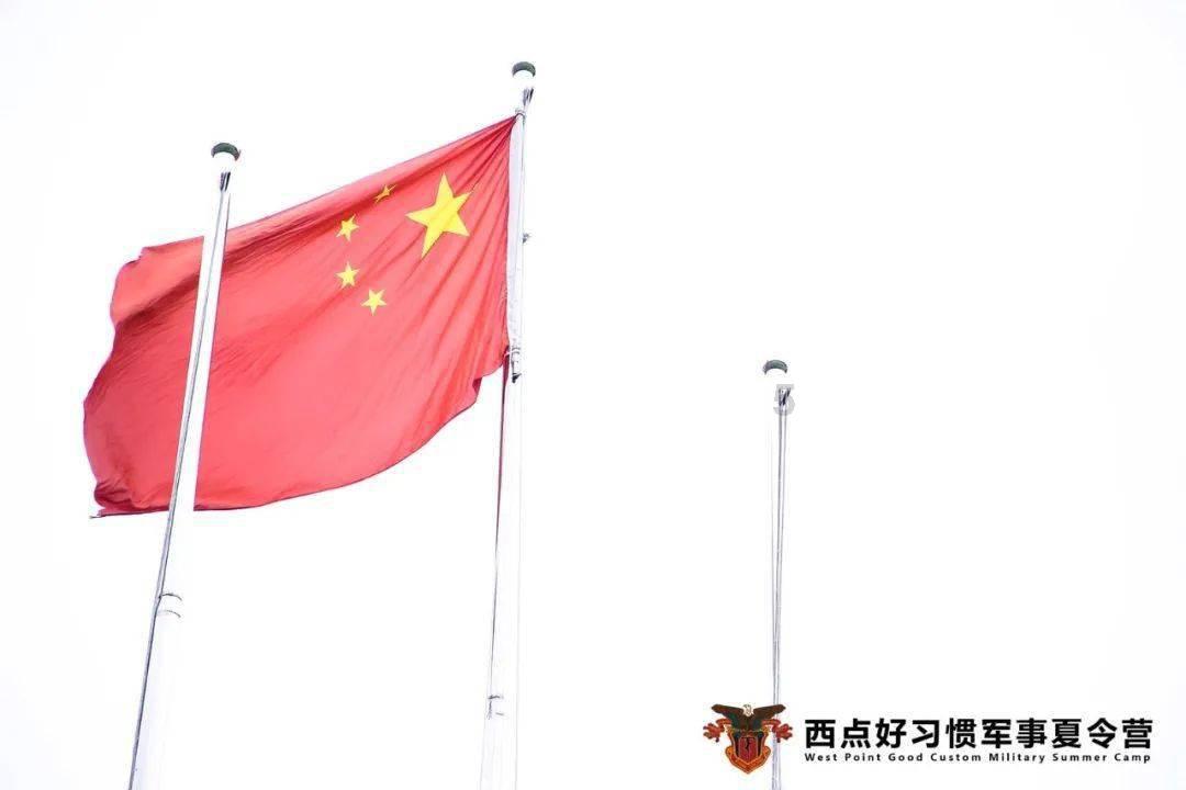 救援小巨鳄