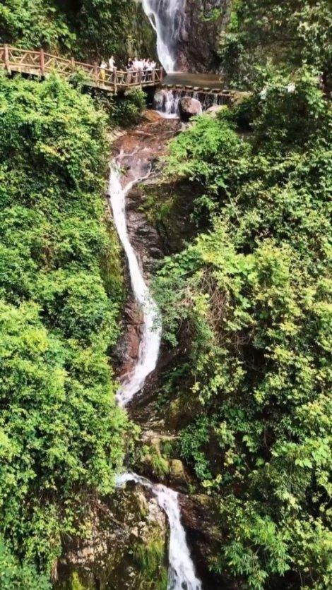 组织他人偷越国境！“蛇头”袁某被逮捕！