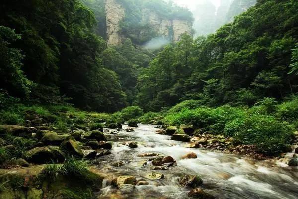 逃出美丽度假胜地