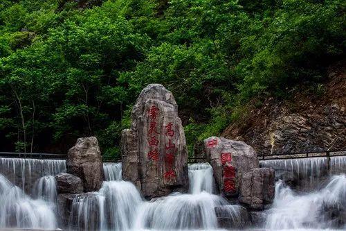 虫虫助手下载