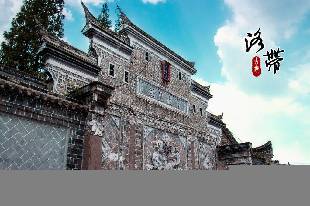 人像模式不止拍人!宠物也能轻松拿捏,四款影像旗舰谁能胜出?