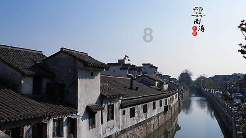 时尚POLO衫