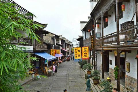 动物帮帮忙保卫家园