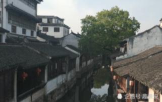 拯救昆虫群