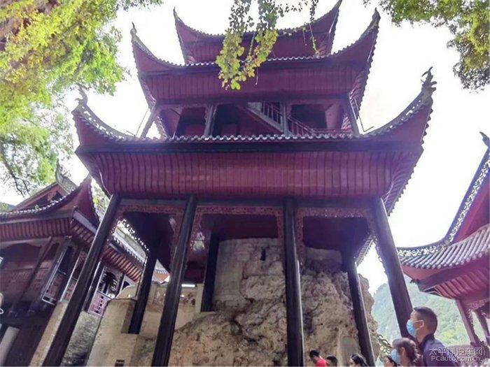水果时尚风格