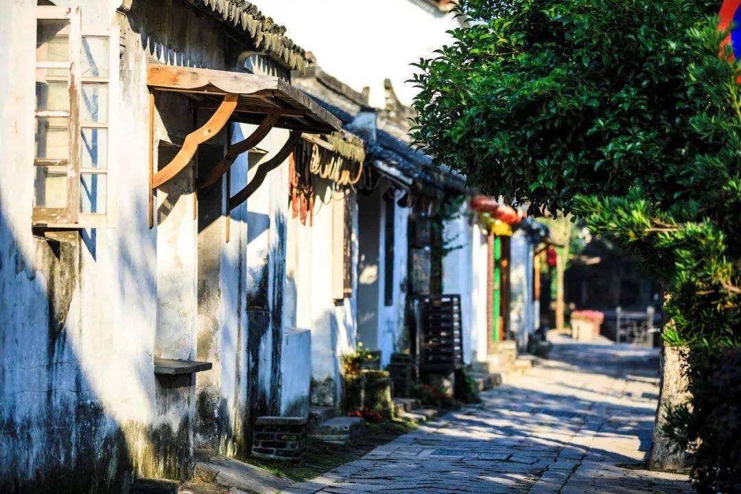 救援受困的萌兔