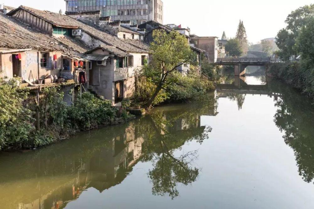 艺术 | 音乐剧《鲜花盛开的地方》专家研讨会在沈召开