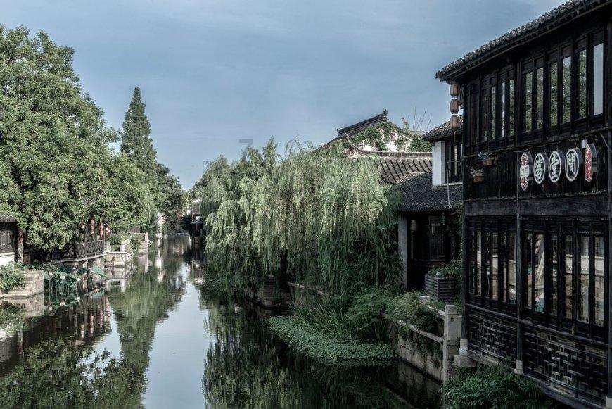 虫虫助手下载