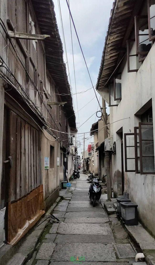 道奇蝰蛇找不同